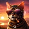 Motrin profil fotoğrafı