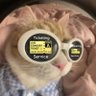 ๐ฒ๐พ | ts ๐ซ ยจฬฎ profil fotoฤrafฤฑ