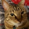 Mr. Exhausted's profile picture