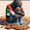 حبيب أمو's profile picture