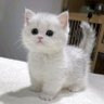 Profilbild von ไม่ได้ครอบครอง ได้แค่มองก็ยังดี