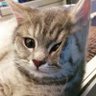 Mia profil fotoğrafı