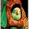 Profilbild von Perico el de los Palotes