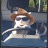 Profilbild von Ruhail