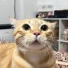 Profilbild von Sipaling