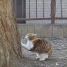 うおしま🐟🐦 profil fotoğrafı
