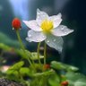 Senem🌷🍉 profil fotoğrafı