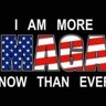 MAGA King 45&47's profile picture