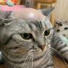 (⁠+⁠_⁠+⁠) profil fotoğrafı