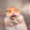 LordAntman🫡 的头像