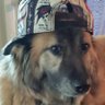 Chris's profile picture