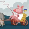 Фото профиля Minor instance of russophobia⚪️⚫️⚪️