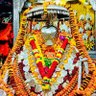 Amitabh Vivek's profile picture
