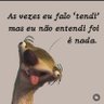 Robsonflavio's profile picture