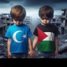 onuryilmaz's profile picture