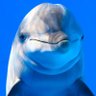 𝕷𝖆𝖇𝖆𝖘 𝖗𝖞𝖙𝖆𝖘 𝖐𝖚𝖗𝖛𝖆!🇦🇷 profil fotoğrafı