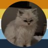s.cc ☁️'s profile picture