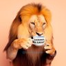 Fenómeno Barrial 56% 🦁 的头像