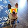 Dean H.'s profile picture