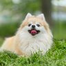 あみちゃん 的头像