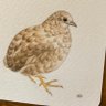 Profilbild von ポポチョロ🐦💨