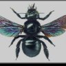 black bee ๐๐'s profile picture