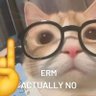 猫猫's profile picture