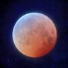 nippon_555's profile picture