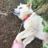 冒険野郎 的头像