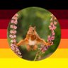Pumuckel's profile picture