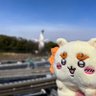 しゅんにいちゃん profil fotoğrafı