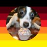Profilbild von Marco🇩🇪