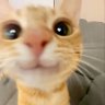 Bogdan Ilić profil fotoğrafı