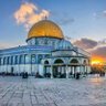 Фото профиля مجاهد