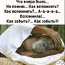 Фото профиля Olek