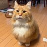 浜谷越郎 的头像