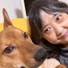 冨田麻里(7thclouds公式ツィート 的头像