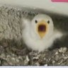 violetttttt7 profil fotoğrafı