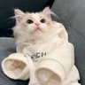🆂E̷-ŴỖᗝ ทาสแมวขาว 的头像