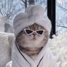 heybae's profile picture