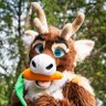 Keralis's profile picture