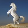 Фото профиля The White Horse