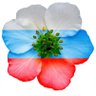 🇷🇺 ~Юлия Z~ 🇷🇺 的头像