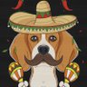 Profilbild von Sombrero Beagle