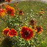 ByDesign profil fotoğrafı