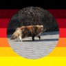 ALX© 🇩🇪 的头像