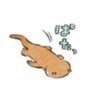 Profilbild von モンチッチ