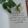 Bent Elmansoura's profile picture