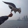 ming profil fotoğrafı