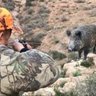 Pig hunter's profile picture